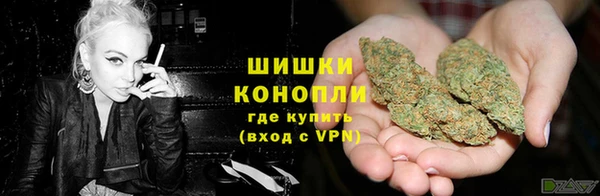 амф Богородск