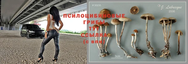 амф Богородск