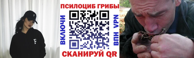 Псилоцибиновые грибы Cubensis  Челябинск 